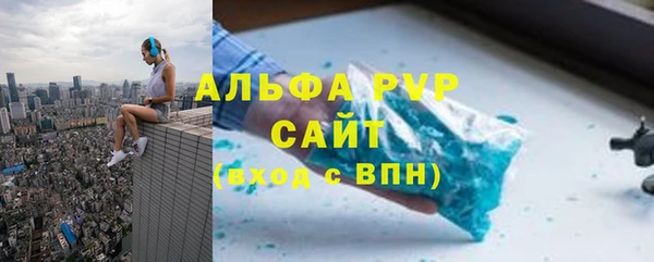 мяу мяу мука Иннополис