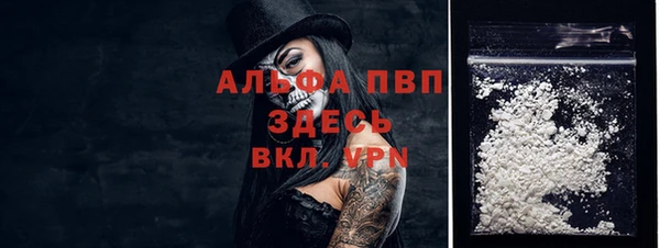 мяу мяу мука Иннополис