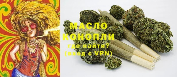 мяу мяу мука Иннополис