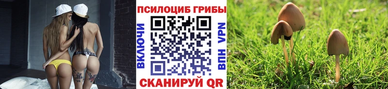 Псилоцибиновые грибы Magic Shrooms  купить закладку  Сковородино 